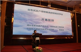 湖南省新能源產業協會秘書長陳麗華.webp.jpg